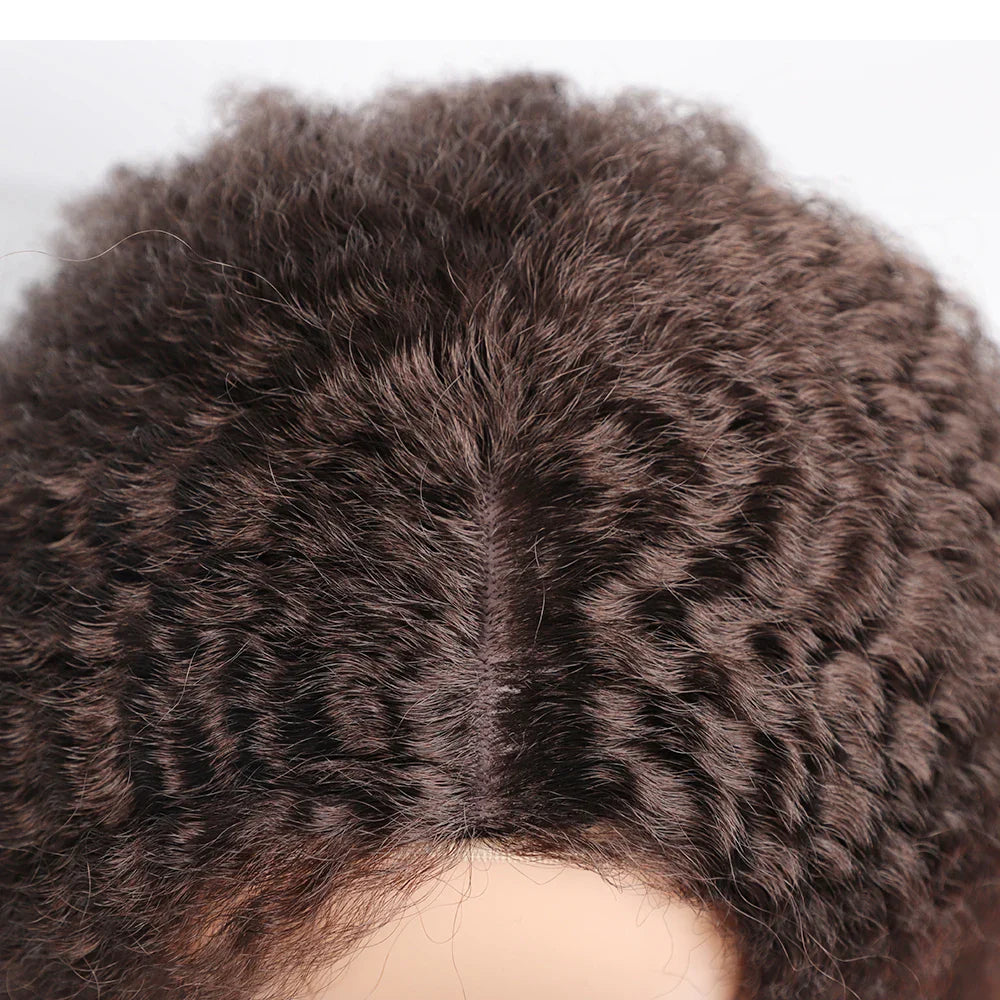 Long Puffy Kinky Curly Synthetic Wigs