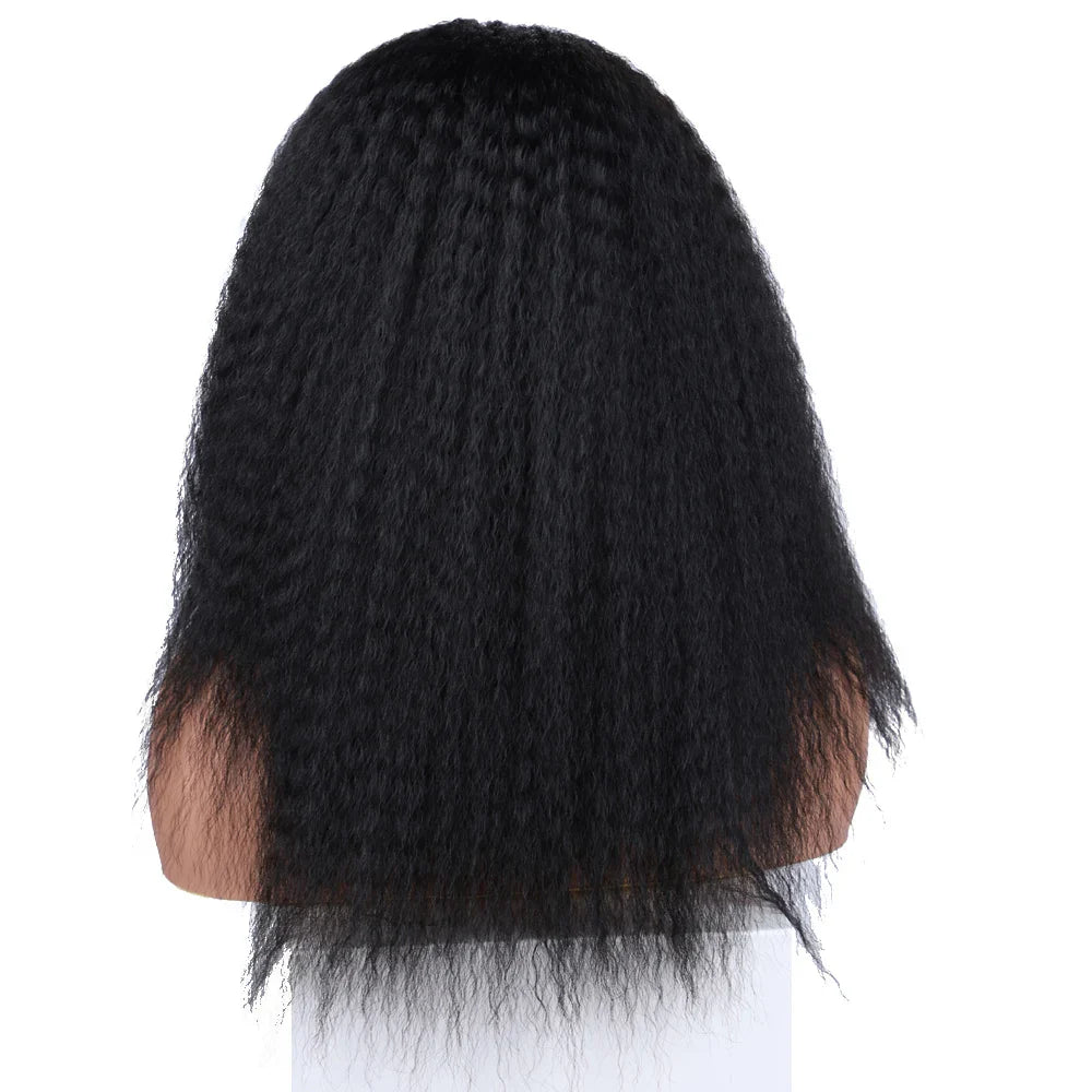 Kinky Curly Synthetic Hair Wig
