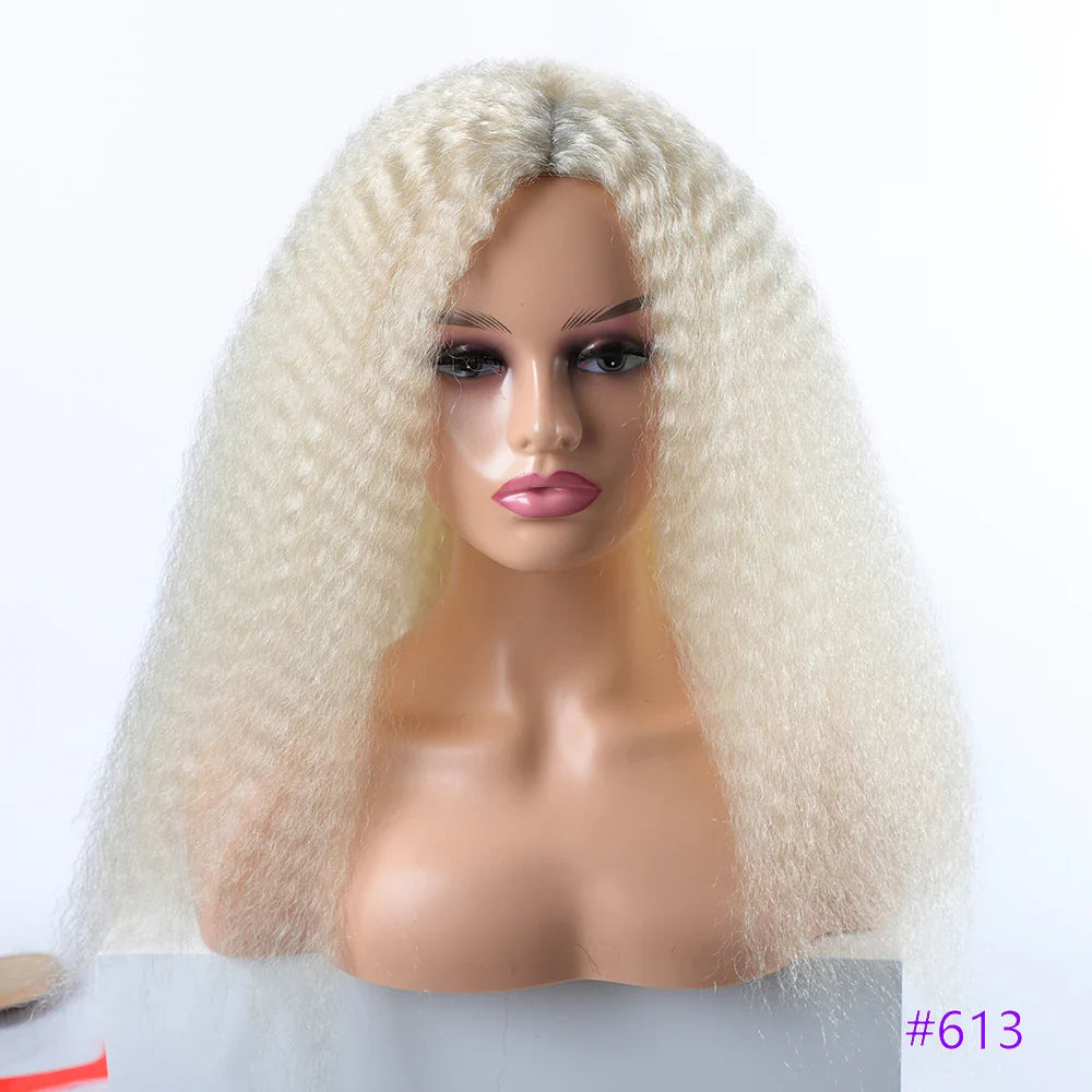 Long Puffy Kinky Curly Synthetic Wigs