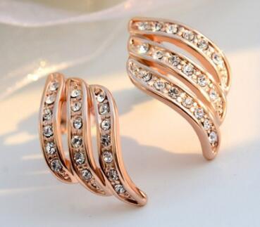 Temperament personality Wild Earrings