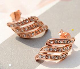 Temperament personality Wild Earrings