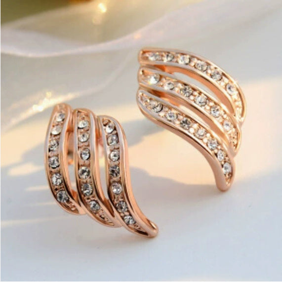 Temperament personality Wild Earrings