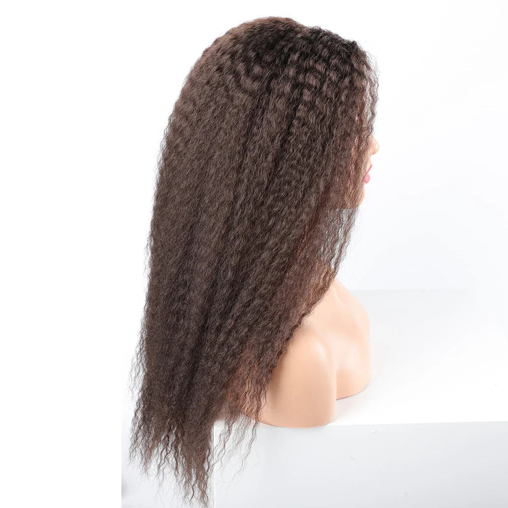 Long Puffy Kinky Curly Synthetic Wigs